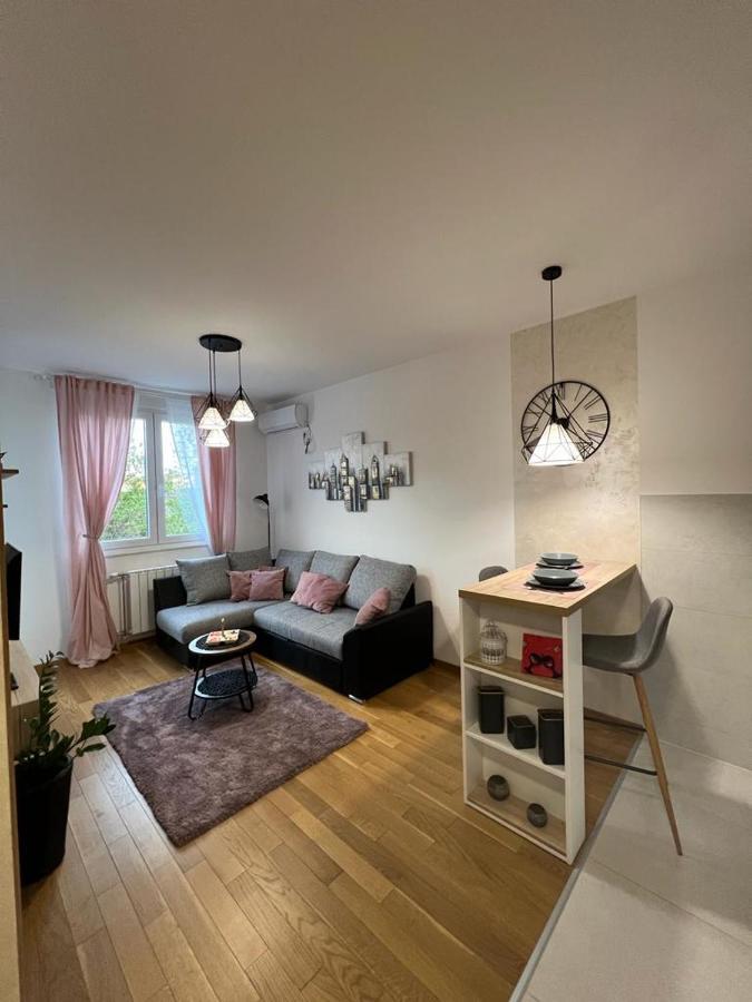 Apartment Luxe Nine Νόβι Σαντ Εξωτερικό φωτογραφία